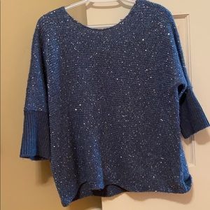sparkley blue comfy sweater